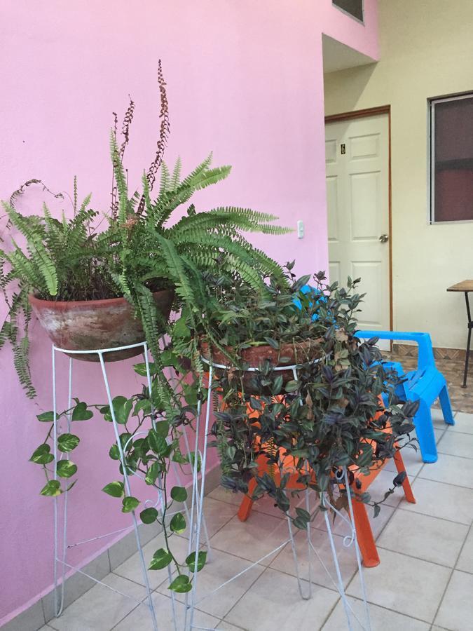 Casa Mokoron Διαμέρισμα Μανάγκουα Εξωτερικό φωτογραφία
